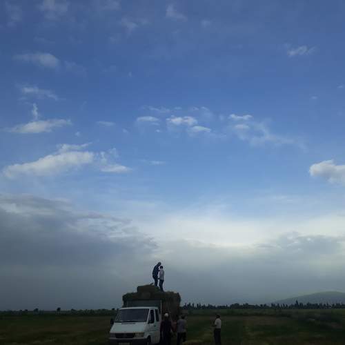 Photo #10793246