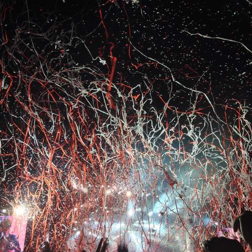 Photo #10793488