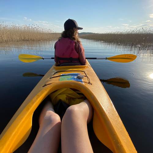 Photo #10793494