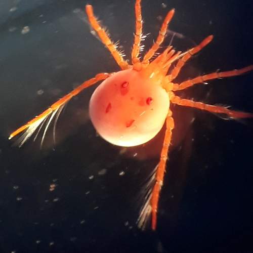 Photo #10793508