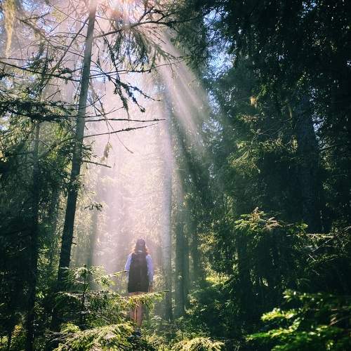 Photo #10793528