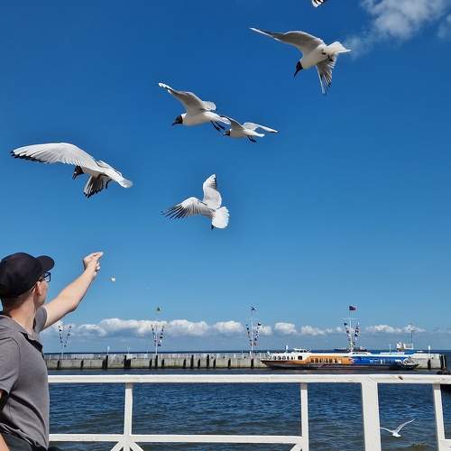 Photo #10793780