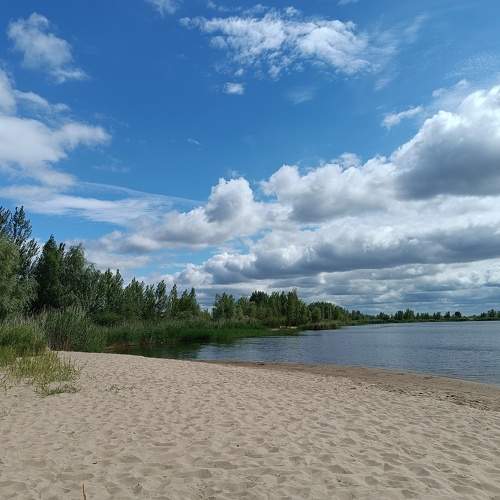Photo #10793969