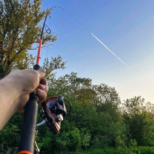 Photo #10794024