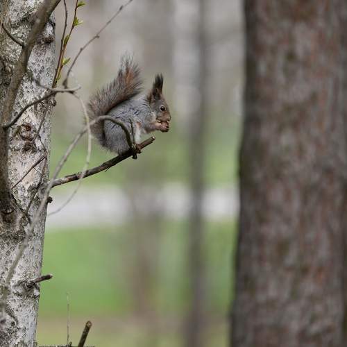 Photo #10794101