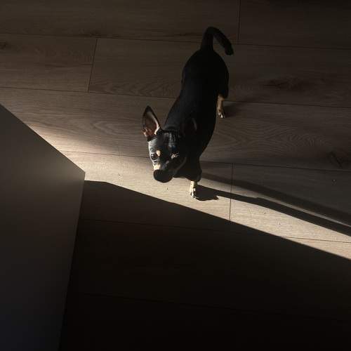 Photo #10794224