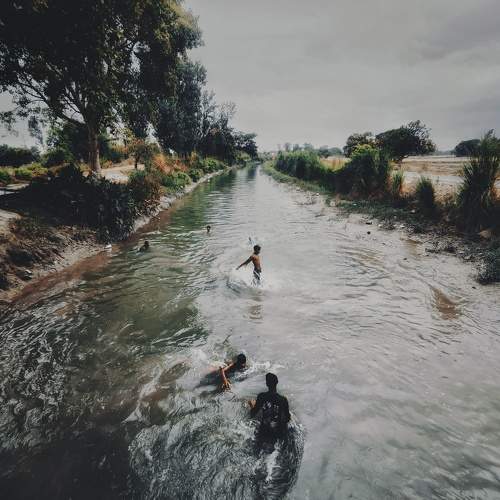 Photo #10794816