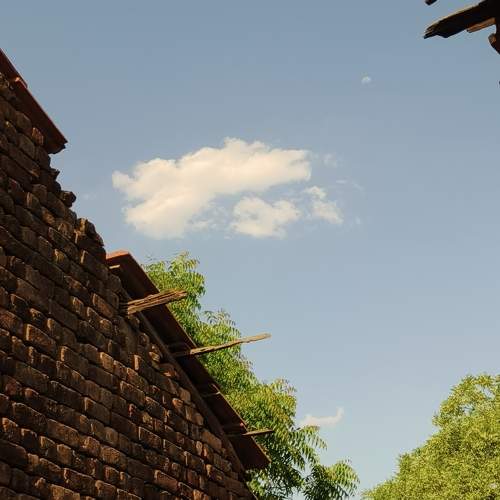 Photo #10794986