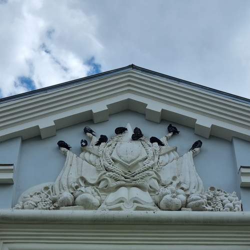 Photo #10795161