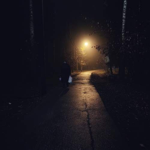 Photo #10795285