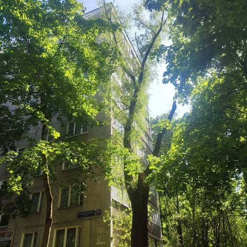 Photo #10795308