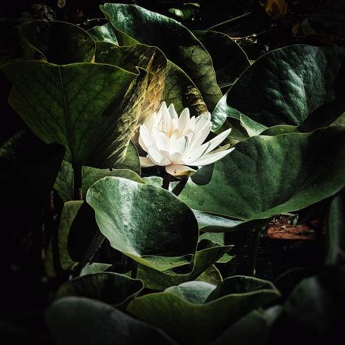 Photo #10795374