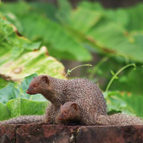 Photo #10795671
