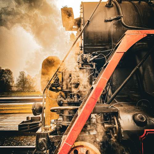 Photo #10795850