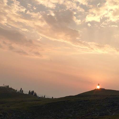 Photo #10795976