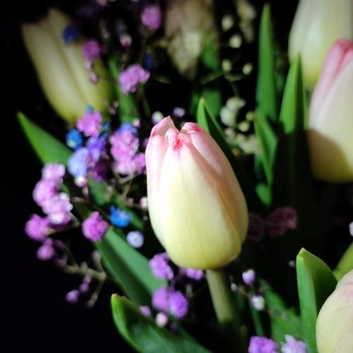 Photo #10796241