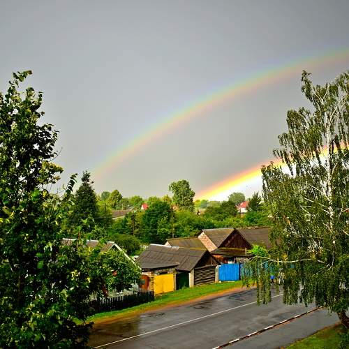 Photo #10796688