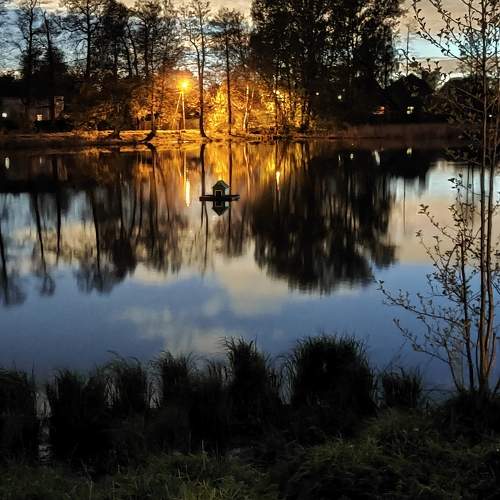Photo #10796791