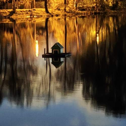 Photo #10796794