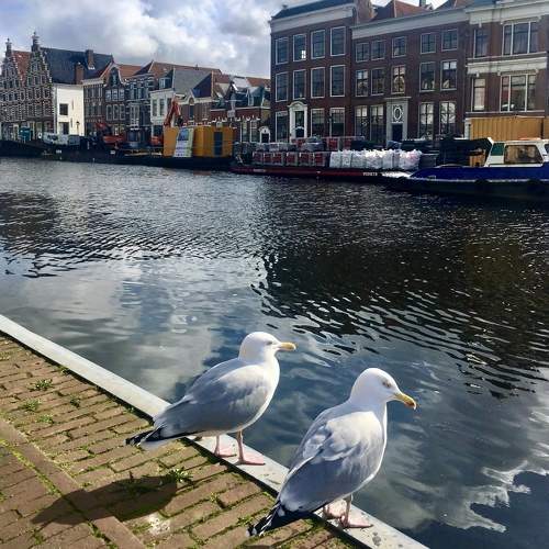 Photo #10797118