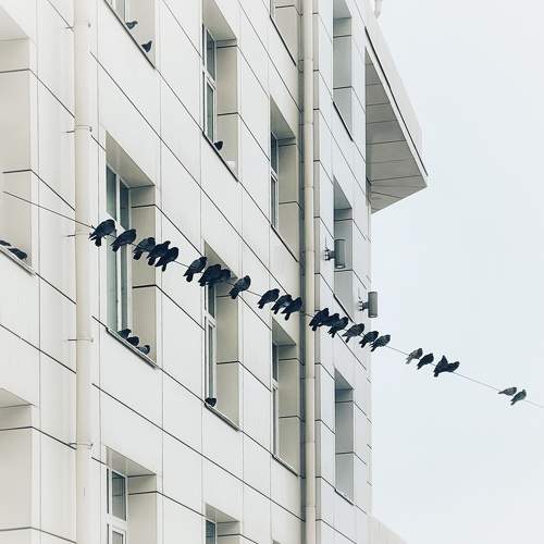 Photo #10797122