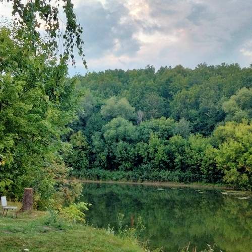 Photo #10797247