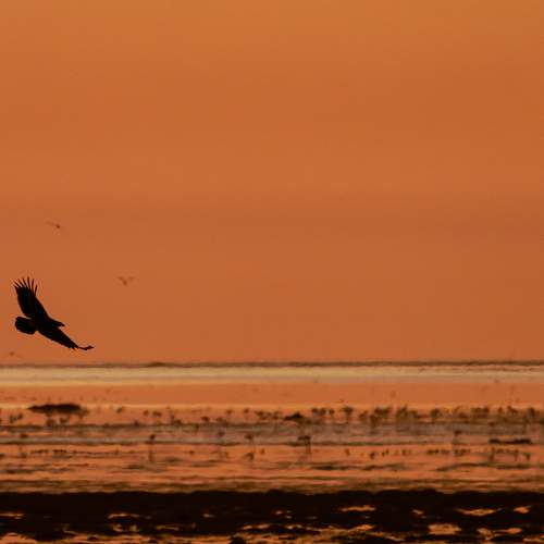 Photo #10797271