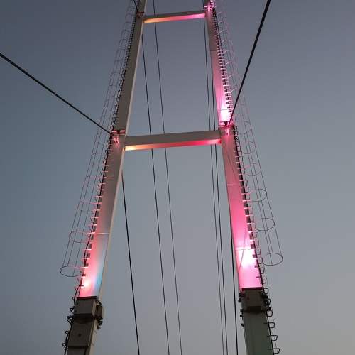 Photo #10797388