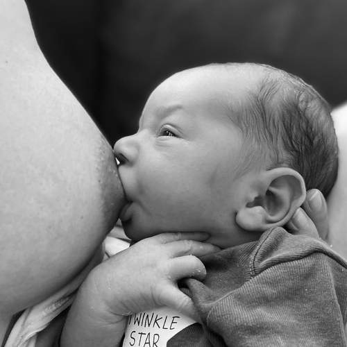 Photo #10798080