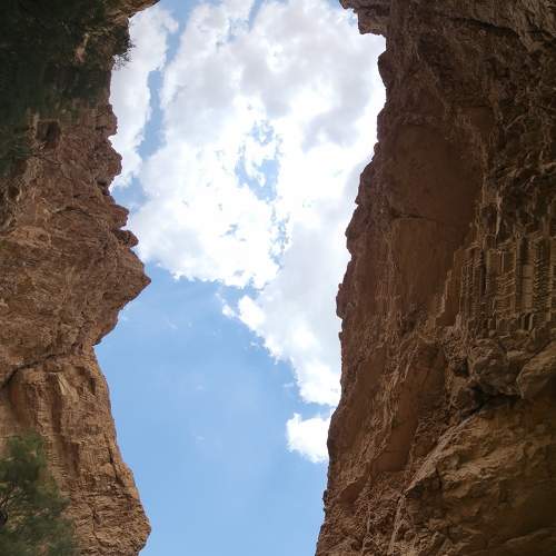 Photo #10798322