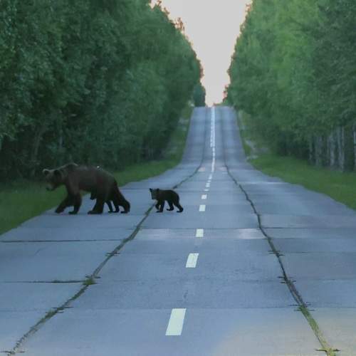 Photo #10798445