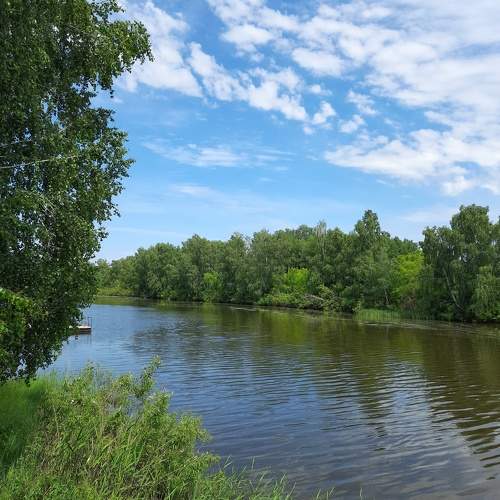 Photo #10798459