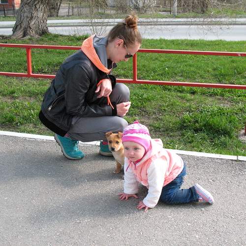 Photo #10798548