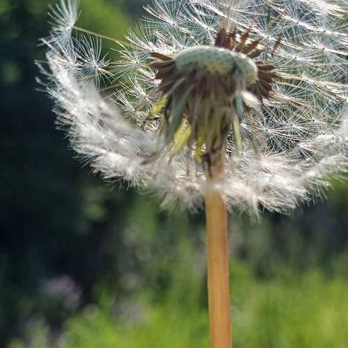 Photo #10798633