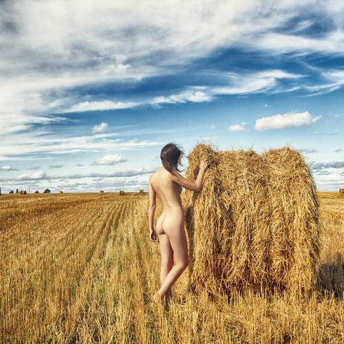 Photo #10798746