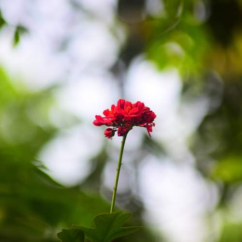 Photo #10799087