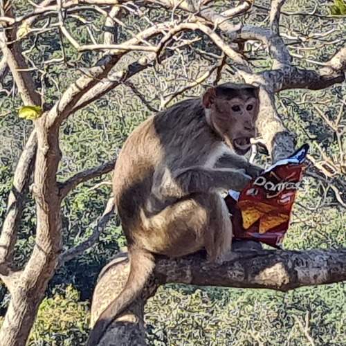 Hungry n lost