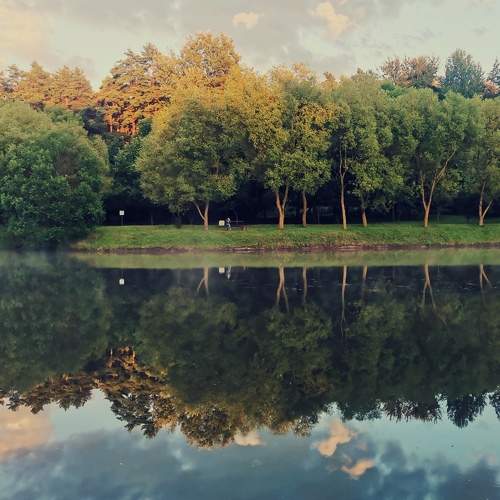 Photo #10799658
