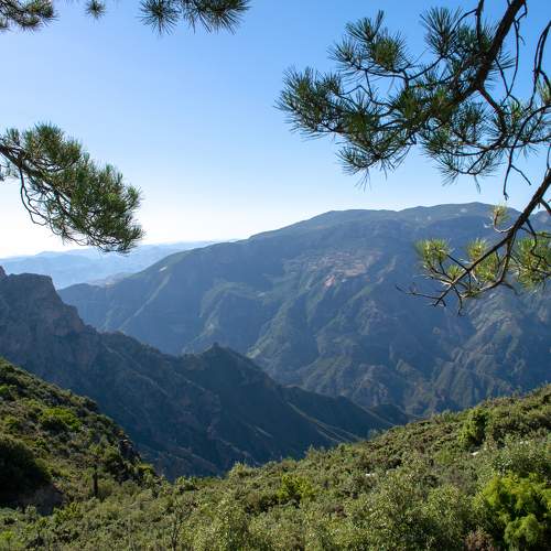 Photo #10799703
