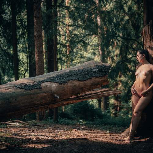 Photo #10799861