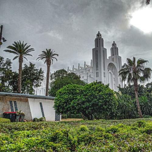 Photo #10799920