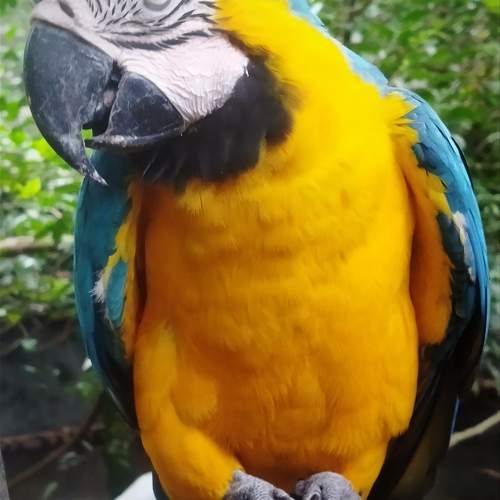 Photo #10799949
