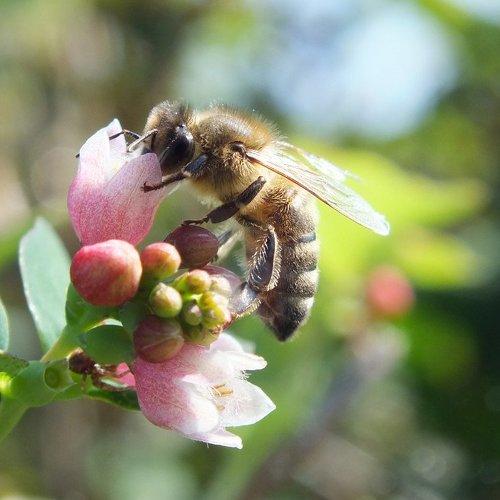 Photo #1081625