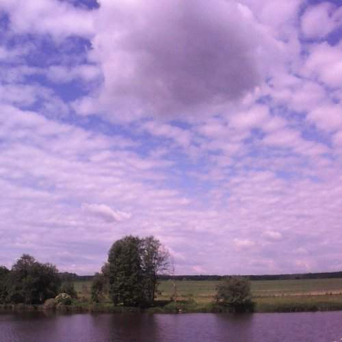 Photo #1082004