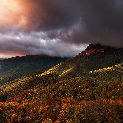 Autumn moods