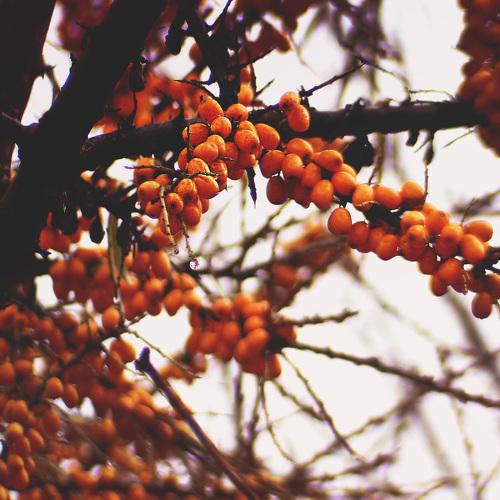 Photo #1084993