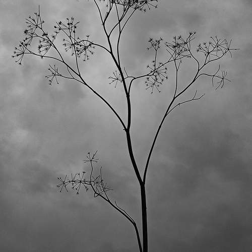 Фотография #10800181