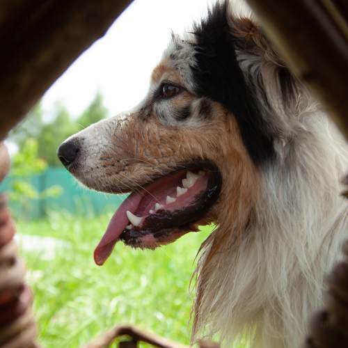 Photo #10800204