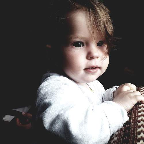 Photo #10800460