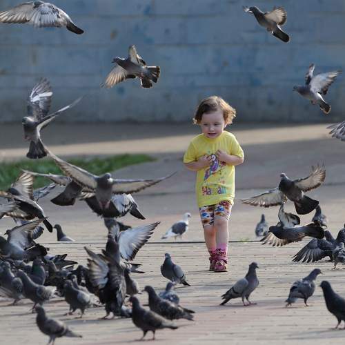 Photo #10800479